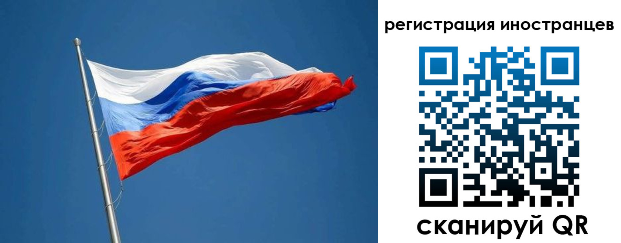 прописка в Владимире
